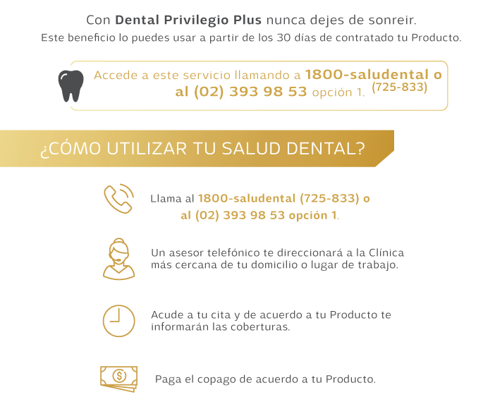 Arte-diptico-salud-dental-experience-PASOS.png